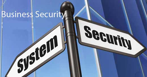 Business Security System